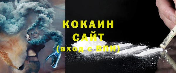 PSILOCYBIN Горняк