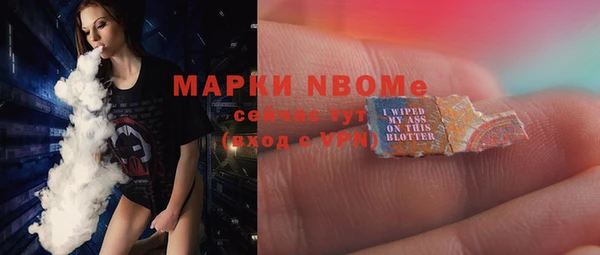 PSILOCYBIN Горняк