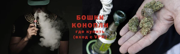 PSILOCYBIN Горняк