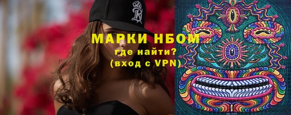 PSILOCYBIN Горняк