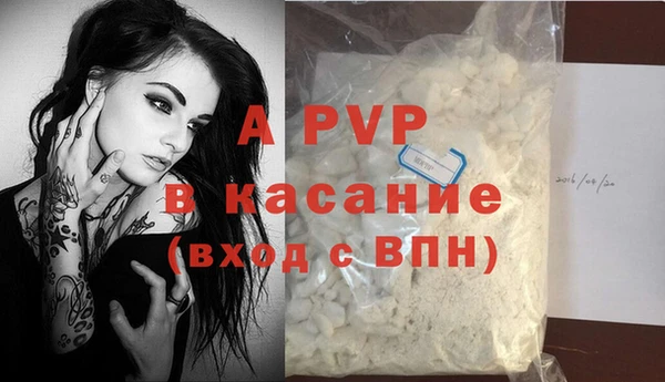 PSILOCYBIN Горняк
