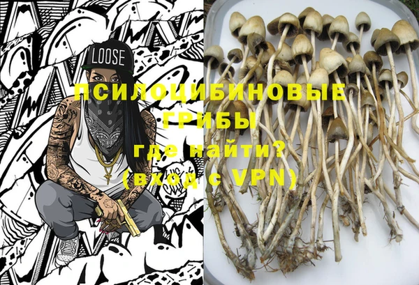 ешки Вязьма