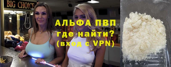 PSILOCYBIN Горняк