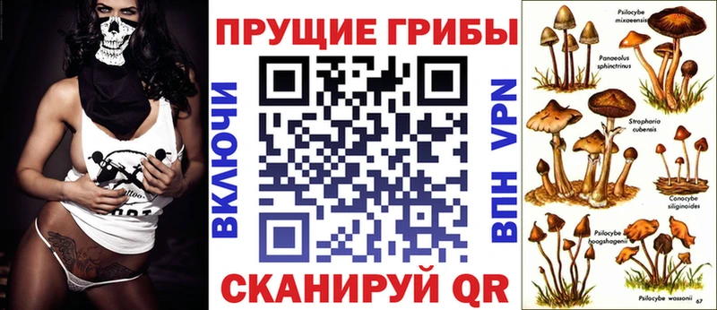 Галлюциногенные грибы прущие грибы  Железноводск 